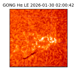 gong - 2026-01-30T02:00:42