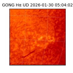 gong - 2026-01-30T05:04:02
