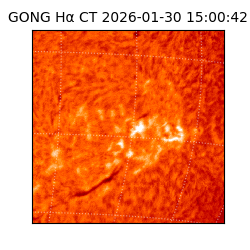 gong - 2026-01-30T15:00:42