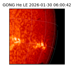 gong - 2026-01-30T06:00:42
