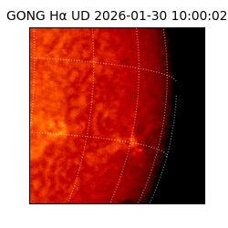 gong - 2026-01-30T10:00:02