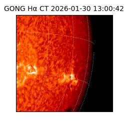 gong - 2026-01-30T13:00:42