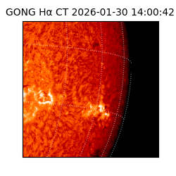 gong - 2026-01-30T14:00:42