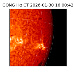 gong - 2026-01-30T16:00:42