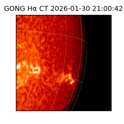 gong - 2026-01-30T21:00:42