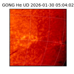 gong - 2026-01-30T05:04:02
