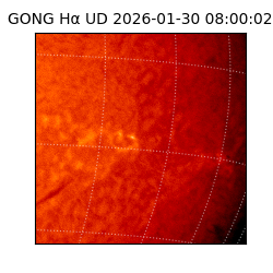 gong - 2026-01-30T08:00:02