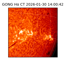 gong - 2026-01-30T14:00:42