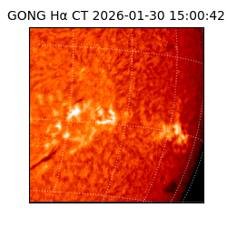 gong - 2026-01-30T15:00:42