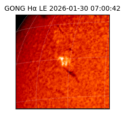 gong - 2026-01-30T07:00:42