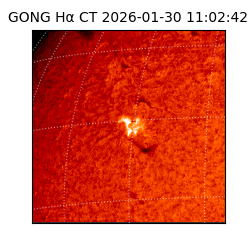 gong - 2026-01-30T11:02:42