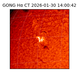 gong - 2026-01-30T14:00:42