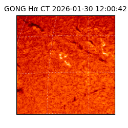 gong - 2026-01-30T12:00:42