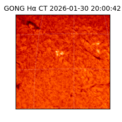 gong - 2026-01-30T20:00:42