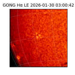 gong - 2026-01-30T03:00:42