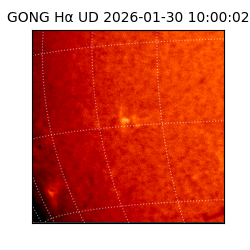 gong - 2026-01-30T10:00:02