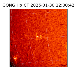 gong - 2026-01-30T12:00:42