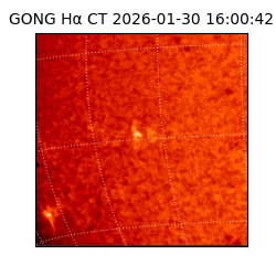 gong - 2026-01-30T16:00:42