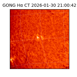 gong - 2026-01-30T21:00:42