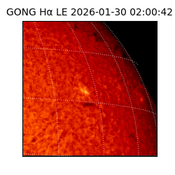 gong - 2026-01-30T02:00:42