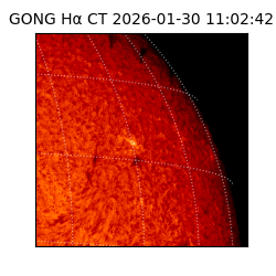 gong - 2026-01-30T11:02:42