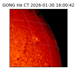 gong - 2026-01-30T16:00:42