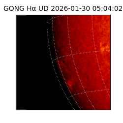 gong - 2026-01-30T05:04:02