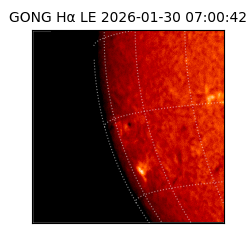 gong - 2026-01-30T07:00:42