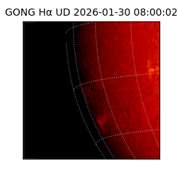 gong - 2026-01-30T08:00:02