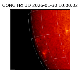 gong - 2026-01-30T10:00:02