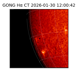 gong - 2026-01-30T12:00:42