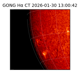 gong - 2026-01-30T13:00:42
