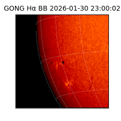 gong - 2026-01-30T23:00:02