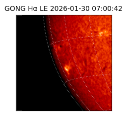 gong - 2026-01-30T07:00:42