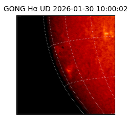 gong - 2026-01-30T10:00:02