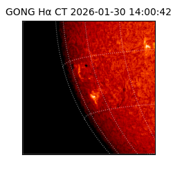 gong - 2026-01-30T14:00:42