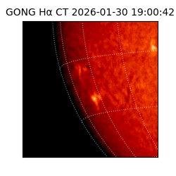 gong - 2026-01-30T19:00:42