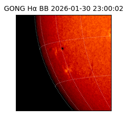 gong - 2026-01-30T23:00:02