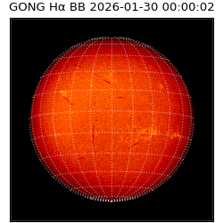 gong - 2026-01-30T00:00:02