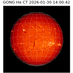 gong - 2026-01-30T14:00:42
