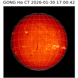 gong - 2026-01-30T17:00:42