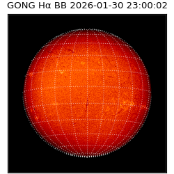 gong - 2026-01-30T23:00:02