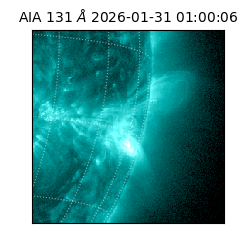 saia - 2026-01-31T01:00:06.622000