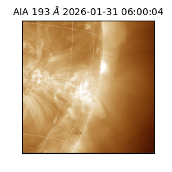 saia - 2026-01-31T06:00:04.843000