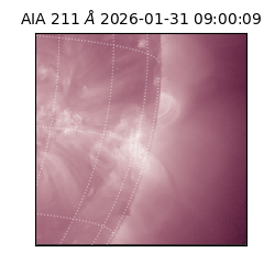 saia - 2026-01-31T09:00:09.626000