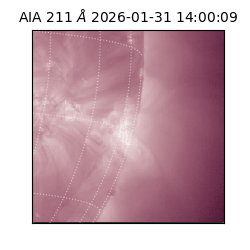 saia - 2026-01-31T14:00:09.626000