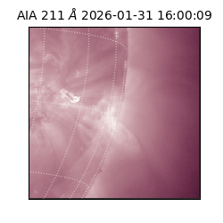saia - 2026-01-31T16:00:09.626000