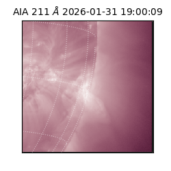 saia - 2026-01-31T19:00:09.626000