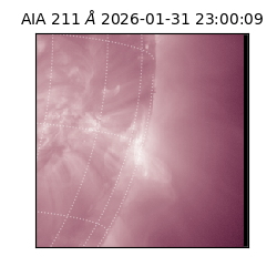 saia - 2026-01-31T23:00:09.630000