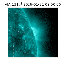 saia - 2026-01-31T09:00:06.625000